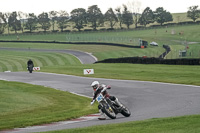 Lower Group White Bikes